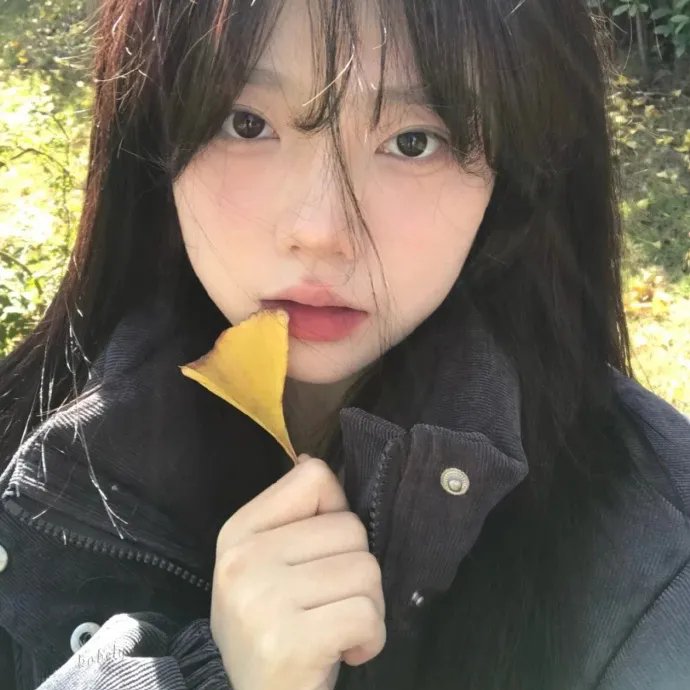 东陵大盗（四）